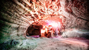 ¡Descubre la asombrosa vida que ebulle bajo nuestros pies! Estudio global revela una biodiversidad microbiana subterránea sorprendente.