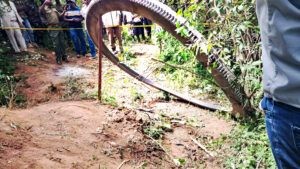 ¡Misterio en Kenia! Un Anillo Metálico Desciende del Cielo, ¿De Dónde Proviene?
