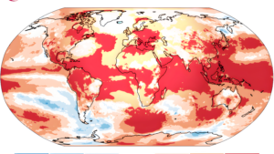 2024: El Año Más Caluroso Registrado; Implicaciones para el Clima