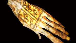 ¡Siete Maravillas Científicas que Casi Pasan Desapercibidas Este Mes!