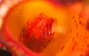 Los detractores de la IA construyen trampas para engañar a los raspadores de IA que ignoran robots.txt