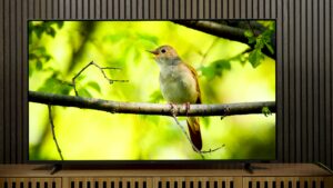 ¡700 DÓLARES MENOS EN LA ROKU QLED DE 75 PULGADAS!