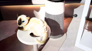 ¡Tres dispositivos domésticos extraños y un par de joyas en el CES 2025! ¡Los gatos con IA aún no son una realidad… pero casi! 🤯