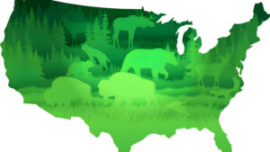 Informe Nacional sobre la Naturaleza en EE.UU Rescatado de la Política