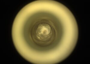 Perseverance descubre una roca única en Marte que podría revelar secretos sobre la historia del planeta rojo