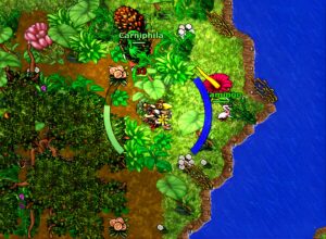 ¡Monjes en Tibia! ¡Después de 28 Años, un Nuevo Guerrero Espiritual Llega a la Batalla!