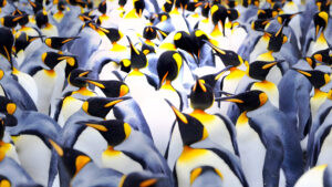 IA Generativa: La Revolución Creativa que Transforma la Ciencia y la Tecnología