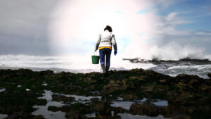 Acidificación oceánica cruza umbral crítico: Impacto global y llamado a la acción