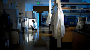 Doctorados en Ciencia e Ingeniería: ¿Sobran o Faltan en el Mercado Actual?