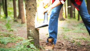 Broadcom Reestructura VMware y Sacude el Ecosistema de Socios de Nube