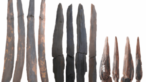 Herramientas de madera de 300,000 años desafían la historia de la tecnología prehistórica en China