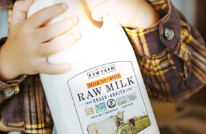 Inteligencia Artificial: Descifrando el Cerebro Digital que Impulsa Tu Mundo