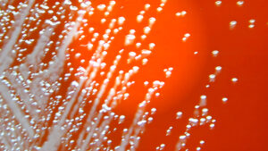 Misterio Médico: Brote de Melioidosis en Georgia Revela Conexiones Inesperadas