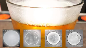 El Secreto de la Espuma de Cerveza Desvelado por la IA