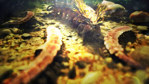 La IA Desvela los Secretos del Universo: Una Nueva Era de Descubrimientos Cósmicos