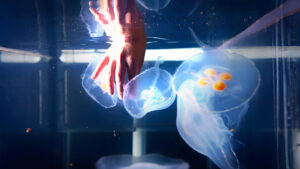 Inteligencia Artificial: El Nuevo Motor de la Exploración Espacial