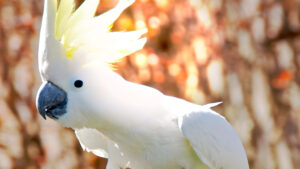 IA revoluciona el descubrimiento de materiales