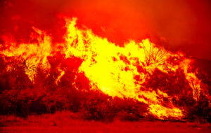 Las Políticas Climáticas de Trump: Implicaciones y Legado