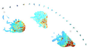 El ‘Spin Serve’ de Bádminton: Ciencia Detrás del Saque Prohibido