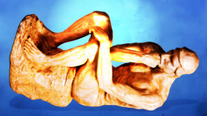 Compañeros de IA en el Gaming: ¿Tus Mejores Aliados o Agentes Encubiertos?