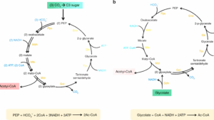 La IA: ¡El Cohete Secreto que Impulsa Nuestra Conquista del Cosmos!