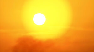 Estrategias y Tendencias en Seguridad de Datos: Protege tu Futuro Digital